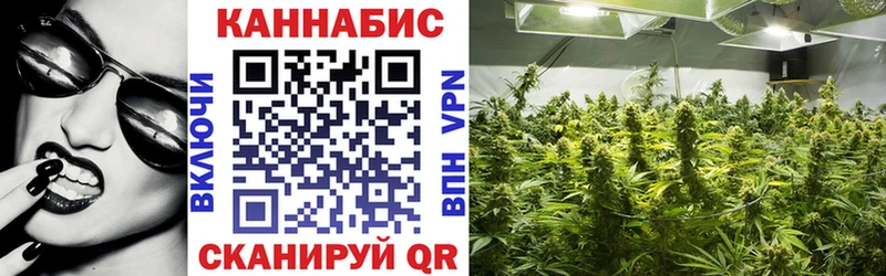 Конопля семена  где можно купить наркотик  Иноземцево 
